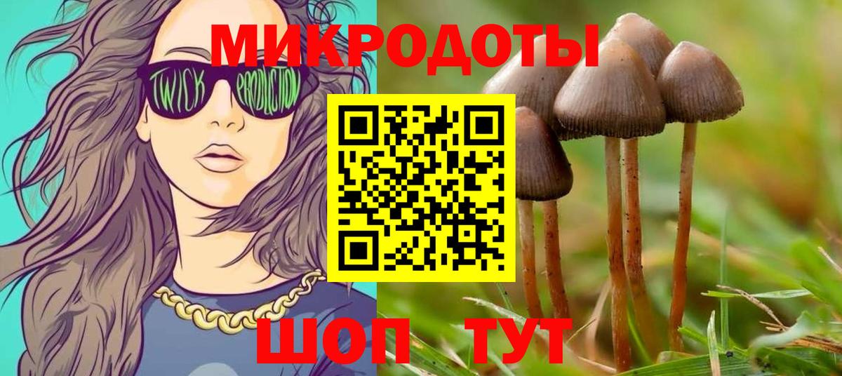 Псилоцибиновые грибы GOLDEN TEACHER Электрогорск